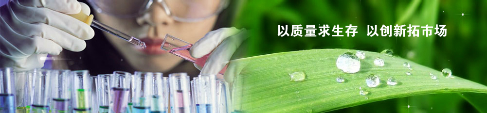 彈性硅酮啫喱系列